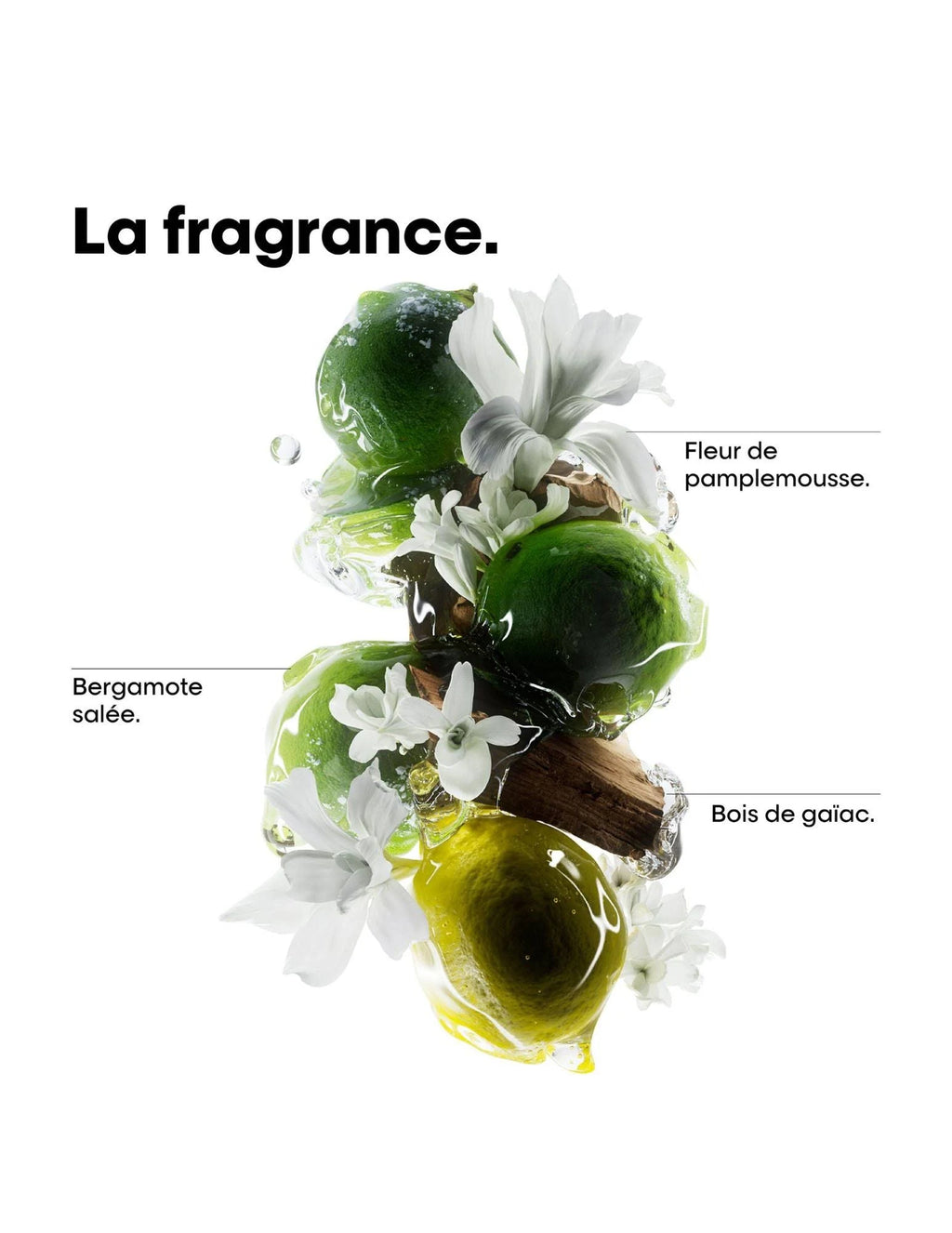SHAMPOOING METAL DETOX  L'OREAL 500ML