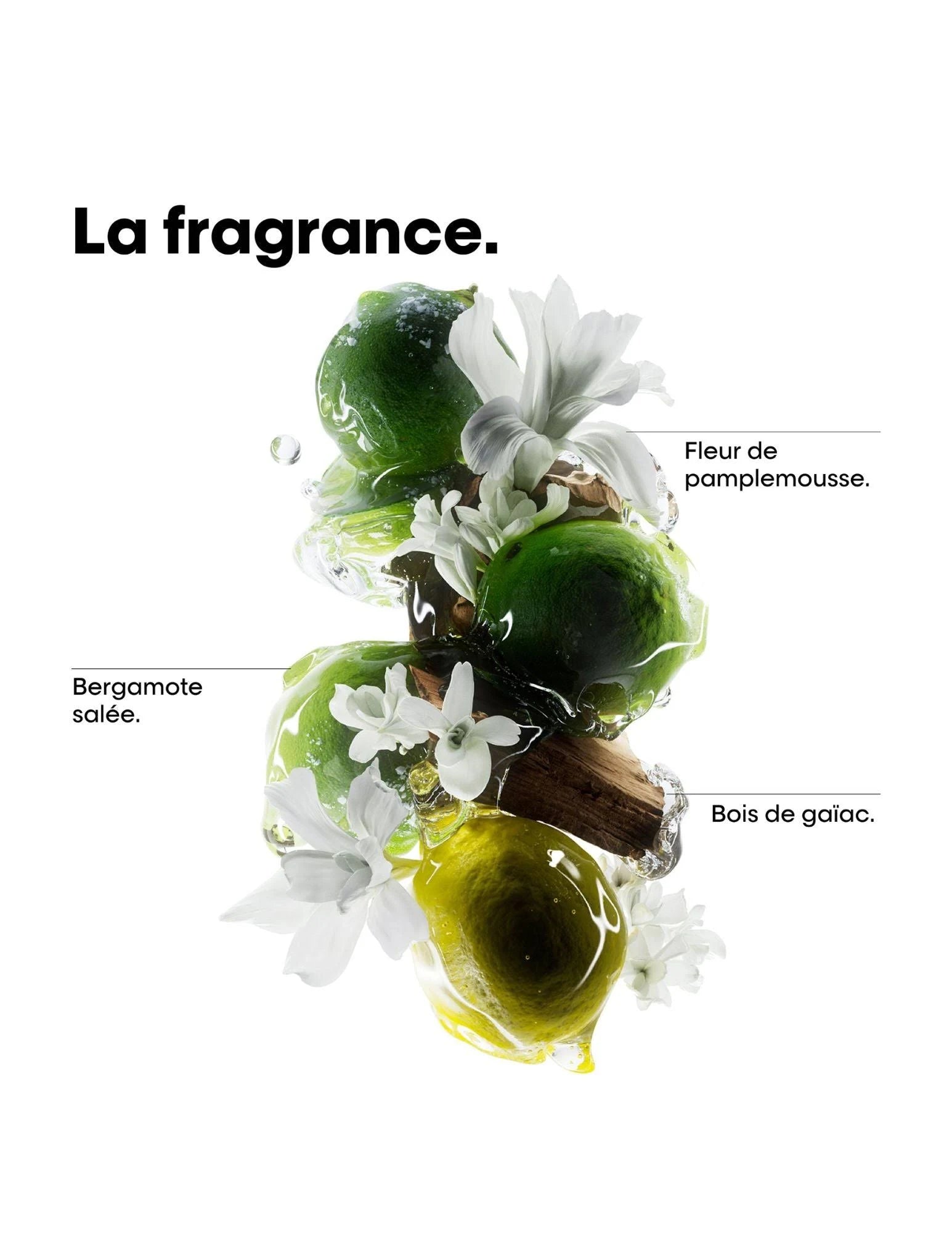 SHAMPOOING METAL DETOX  L'OREAL 500ML